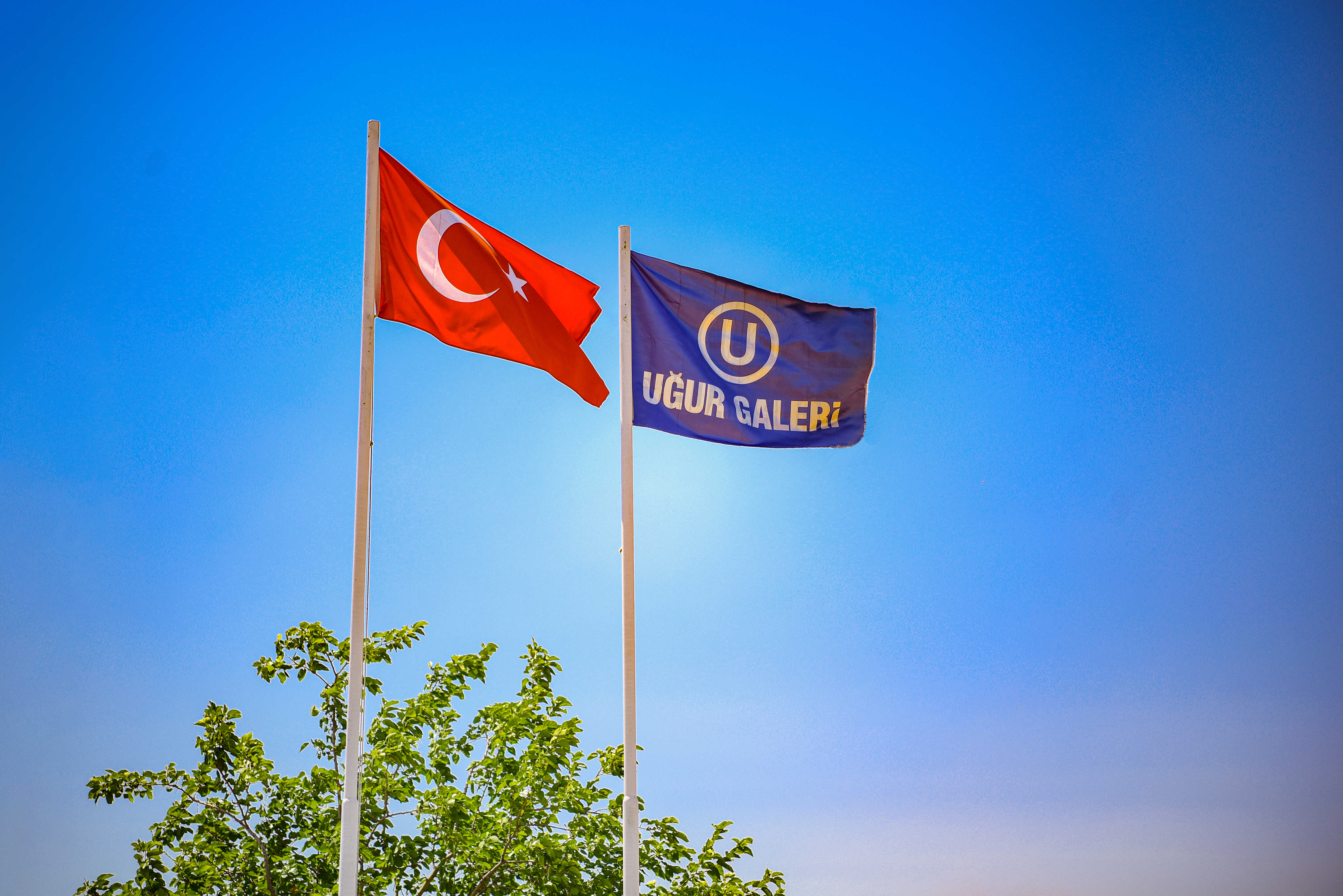 Fotoğraf